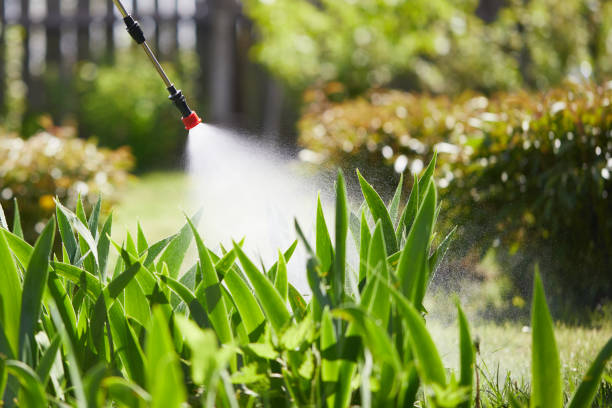 24/7 Emergency Termite Control experts in San Pablo, CA