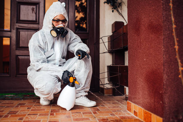 Reliable Termite Control contractor in San Pablo, CA by Nex Pest Control